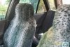 Fiat Tipo  1990. ���� 3