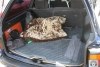 Volkswagen Passat  1994. ���� 9