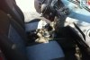 Ford Fiesta ����� ������ 2008. ���� 7