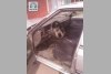 Nissan Laurel  1986. ���� 5