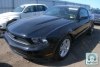 Ford Mustang WE FINANCE 2008. ���� 2