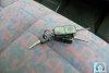 Mercedes Vito  1998. ���� 10