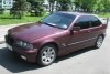 BMW 3 Series  1995. ���� 2