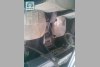 Mazda 929  1983. ���� 2
