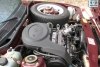 ��� ������-���� ���� 2006. ���� 5