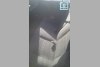 Volkswagen Golf  1993. ���� 7