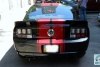 Ford Mustang GT 2008. Фото 3