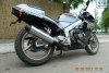 Honda CBR 250 R 1995. Фото 2