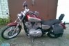 Harley-Davidson Sportster XL883 Custo 2005.  3