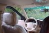 Great Wall Pegasus  2008. ���� 7