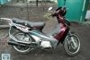 Viper Active ZS50 2008. ���� 3