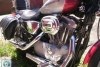 Harley-Davidson Sportster XL883С Custo 2005. Фото 4