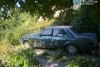 Ford Granada  1980. ���� 1