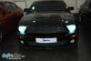 Ford Mustang Shelby Cobr 2008. ���� 1