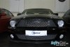 Ford Mustang Shelby Cobr 2008. ���� 2