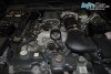 Ford Mustang Shelby Cobr 2008. ���� 8