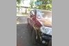 Honda Pilot  2009. ���� 2