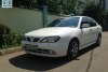 Nissan Primera p11-144 2001. Фото 2