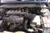 Ford Tempo  1988. ���� 4