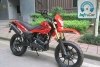 Viper ZS200GY-2C Viper ZS200G 2014. Фото 2