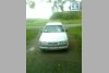 Opel Vectra  1994. ���� 2