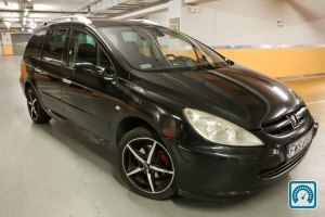 Peugeot 307 SW PANORAMA 2003 №769569