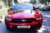 Ford Mustang  2010.  2