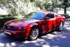 Ford Mustang  2010.  3