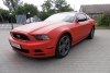 Ford Mustang  2012.  2