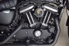 Harley-Davidson 883 Roadster 883 Iron 2020.  3