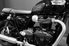 Triumph Bonneville T100 2021. Фото 3