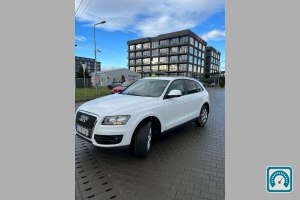 Audi Q5  2010 816241