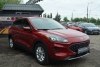 Ford Escape  2020.  3