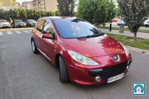 Peugeot 307  2007 819697