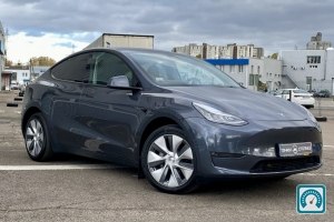 Tesla Model Y  2022 820863