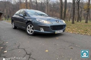 Peugeot 407 FULL 2005 821033