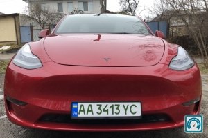 Tesla Model Y  2021 821078