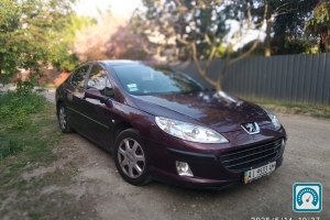 Peugeot 407  2006 №822412