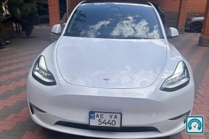 Tesla Model Y  2023 №822982
