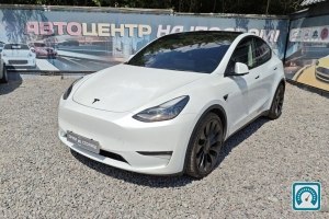 Tesla Model Y  2021 №823007