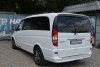 Mercedes Viano  2013. ���� 5