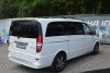 Mercedes Viano  2013. ���� 7