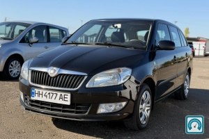 Skoda Fabia  2013 823563
