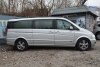 Mercedes Viano  2012.  6