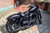 Harley-Davidson Iron 883 XL 883N 2021. ���� 3