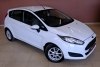 Ford Fiesta  2013. ���� 4