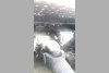 DAF XF 106.460 2017. ���� 8