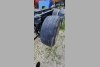 MAN F2000 6�2 2000. ���� 7
