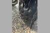 Benalu OPTILINER 78�3 7500�� 2016. ���� 12