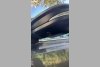Toyota RAV4 XA40 2017. ���� 13